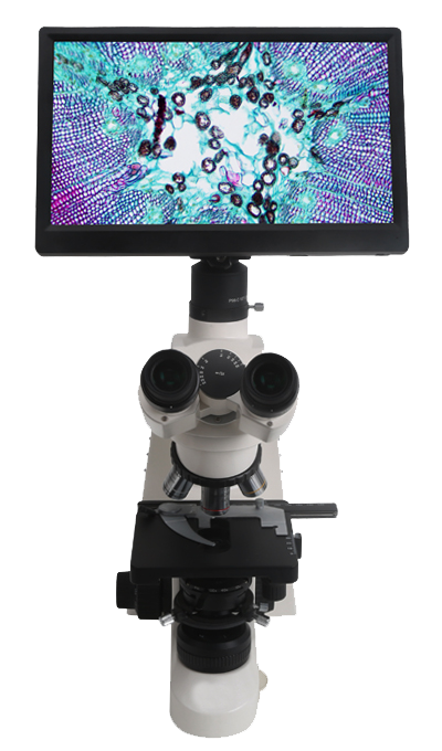 CatCam HDMI Displayer