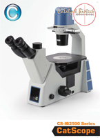 CS-IB2500